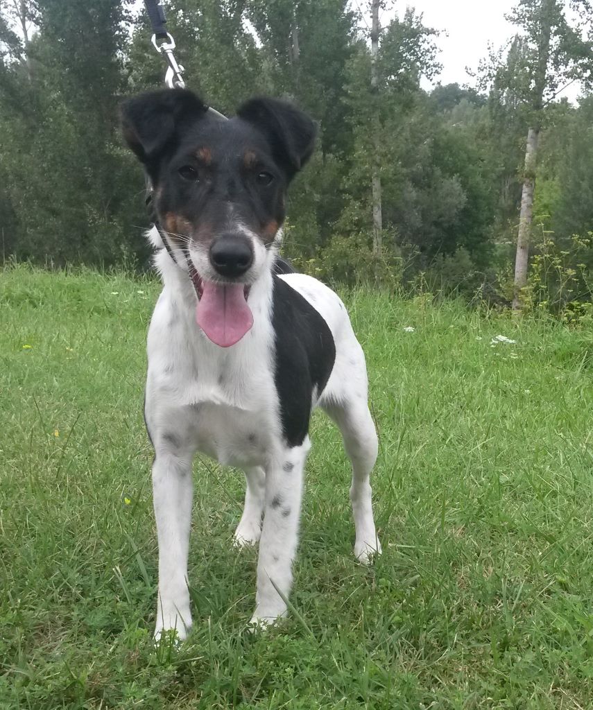 Lethik des Liens du Feu