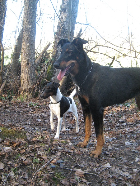 Publication : des Liens du Feu Auteur : Laure Fingonnet