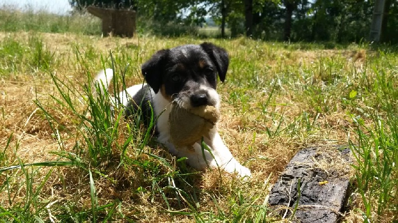 Lethik des Liens du Feu