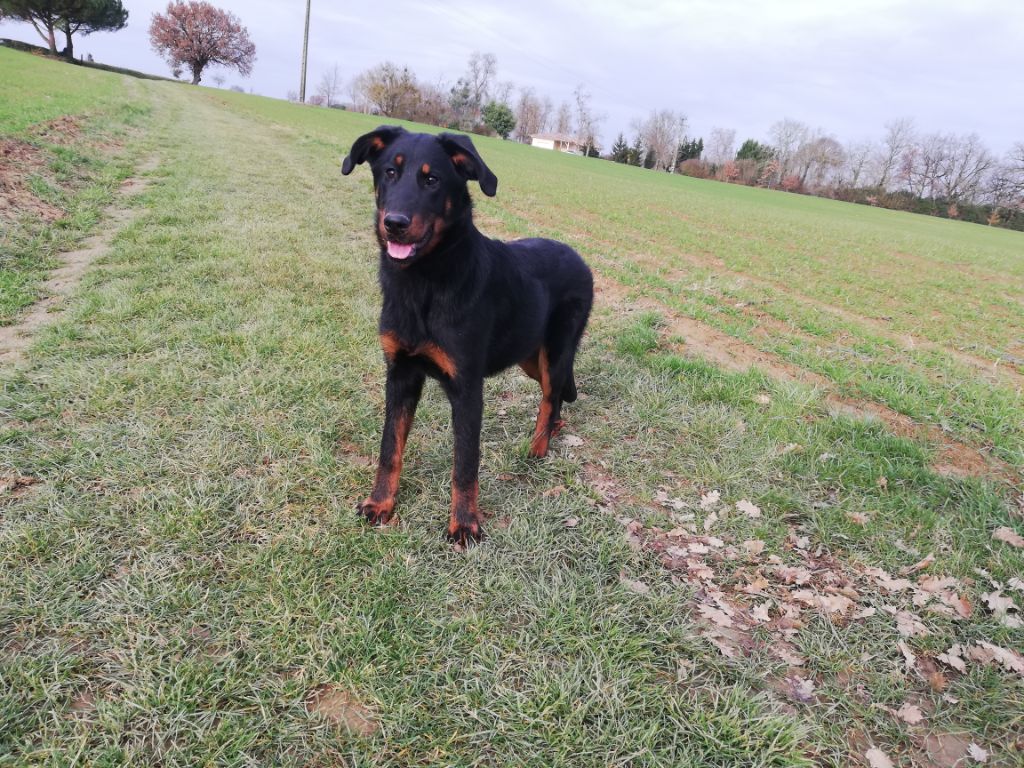 Ottaca des Liens du Feu