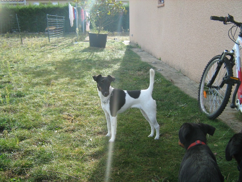 Publication : des Liens du Feu Auteur : Laure Fingonnet