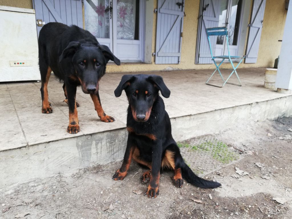 Ottaca des Liens du Feu