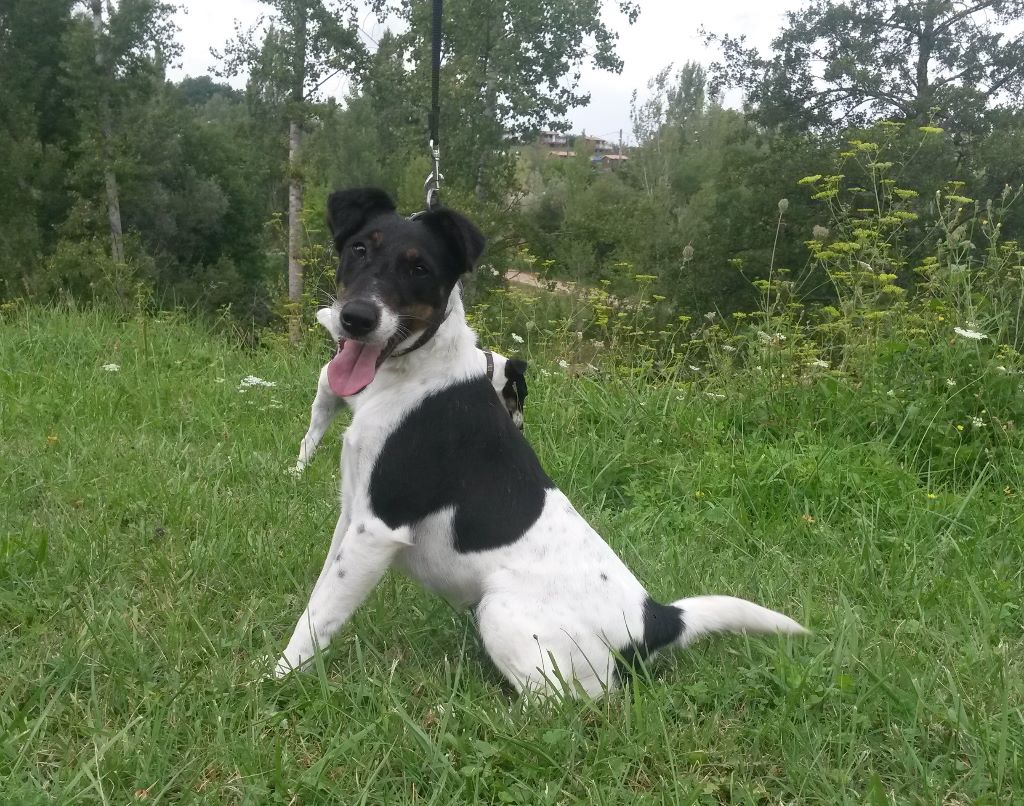 Lethik des Liens du Feu