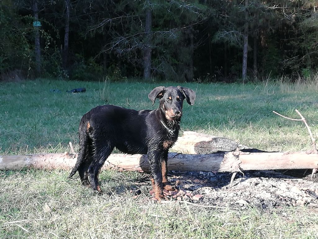 Ottaca des Liens du Feu