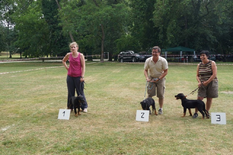 J'oz des Liens du Feu - 1er Très Prometteur