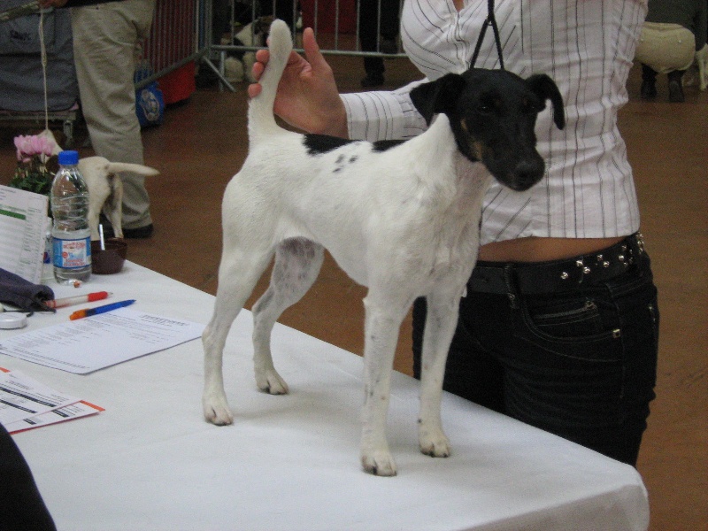 Ulia du mont des titans - 2ème Excellente