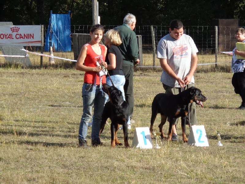 J'oz des Liens du Feu - 1er Très Prometteur