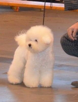 Publication : des portes de Hanau