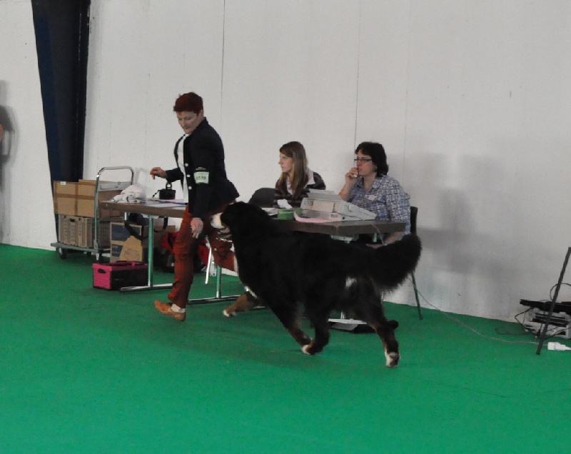 Publication : du roi des lacs Auteur : C.N