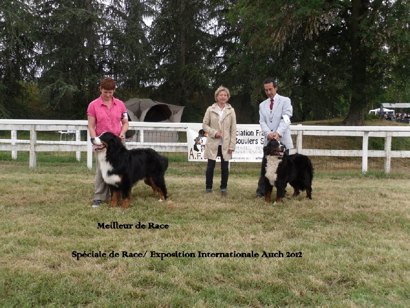 Publication : du roi des lacs Auteur : C.N