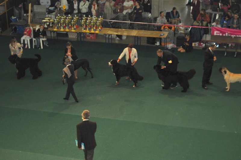 Publication : du roi des lacs Auteur : C.N