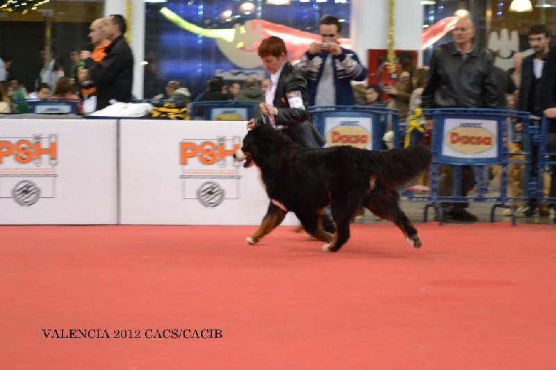 Publication : du roi des lacs Auteur : C.N