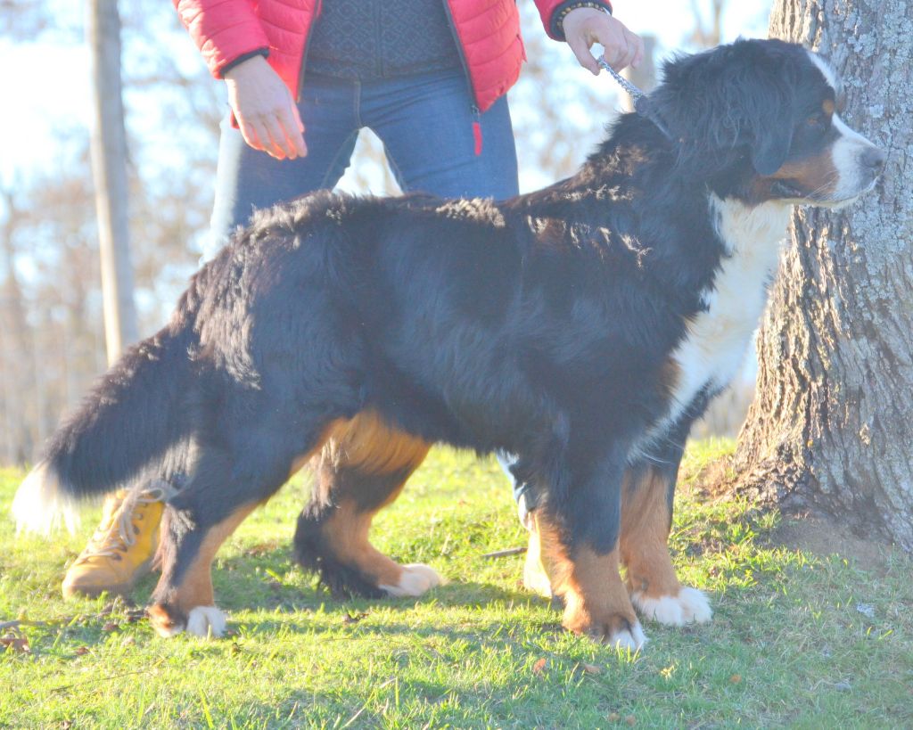 Publication : du roi des lacs Auteur : D.B