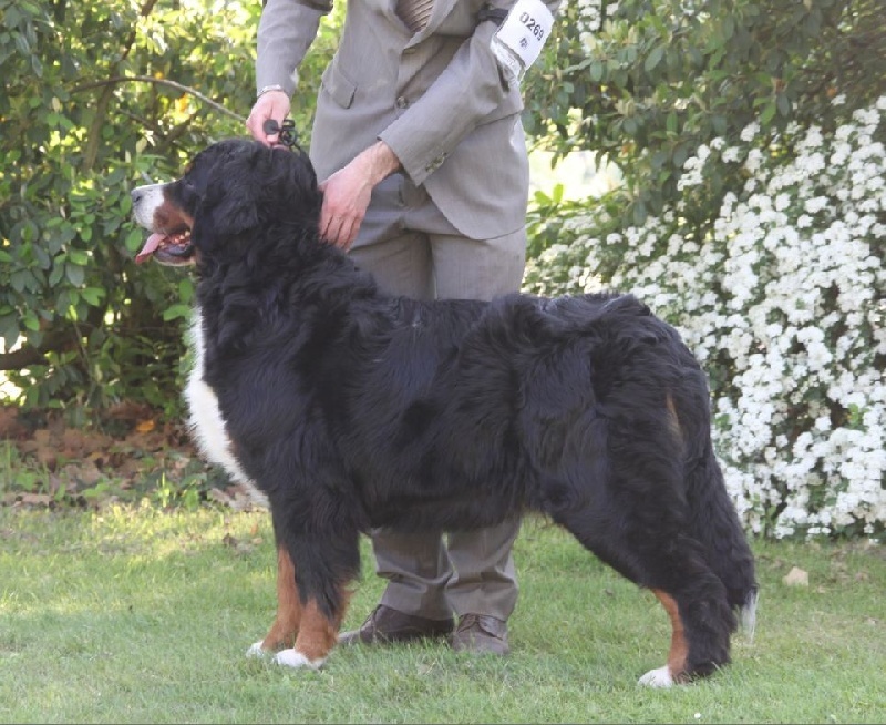 Publication : du roi des lacs Auteur : C.N