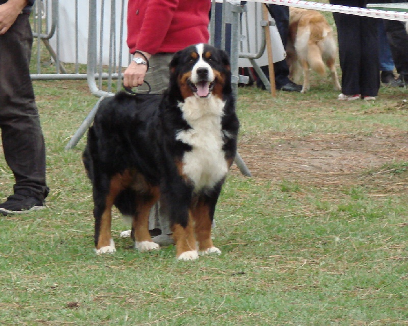 Enns du roi des lacs - 1èRE EXC .C.A.C.S