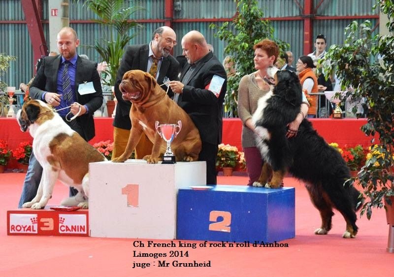 CH. French king of rock'n'roll D'Ainhoa - MEILLEUR DE RACE CACIB 2ème DU GROUPE