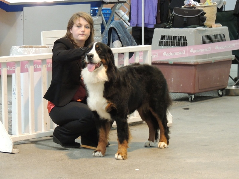 Quizas de la sombra del bizkar - 1ère EXCELLENT