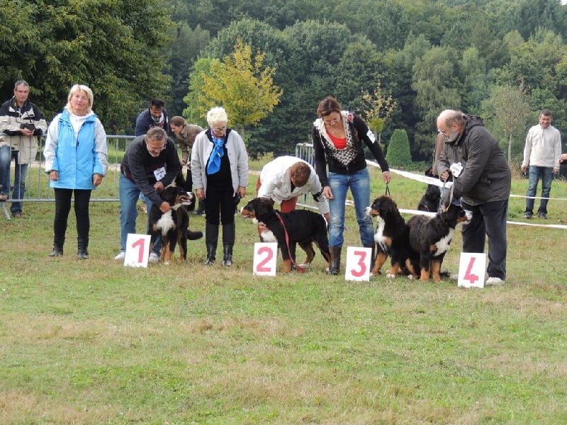CH. Inda du roi des lacs - 2ème Excellent