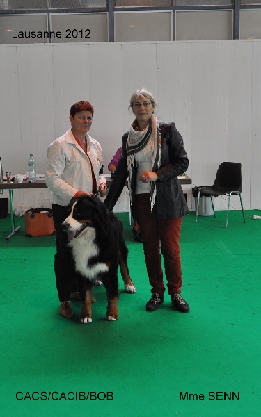 CH. French king of rock'n'roll D'Ainhoa - CACS/CACIB MEILLEUR DE RACE