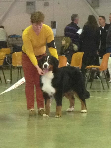 CH. Inda du roi des lacs - 1ère EXCELLENT