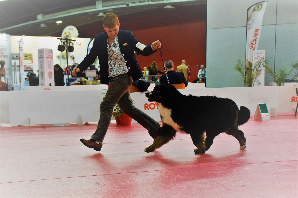 Jewel du roi des lacs - 1ère Excellent CACS BOB