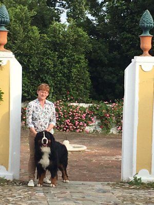 Iogan du roi des lacs - RCAC/RCACIB