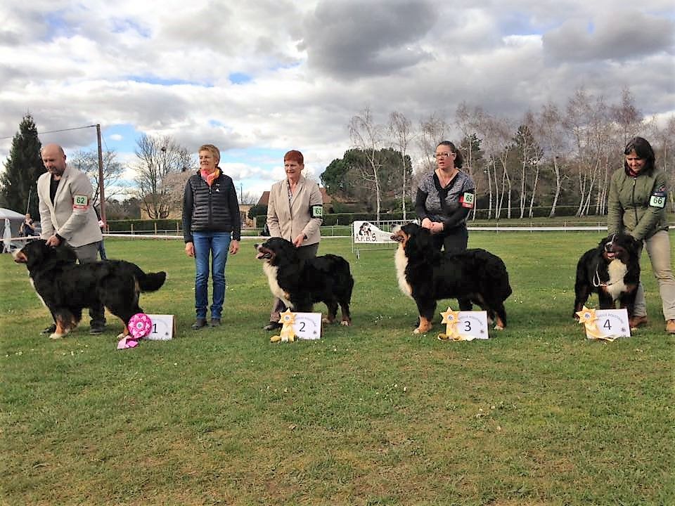 Jewel du roi des lacs - 2ème EXCELLENT