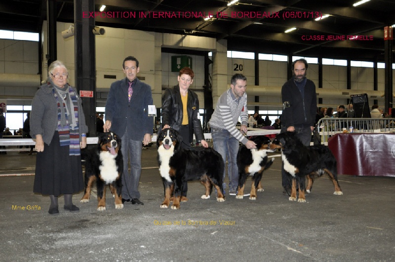 Quizas de la sombra del bizkar - 2ème EXCELLENT