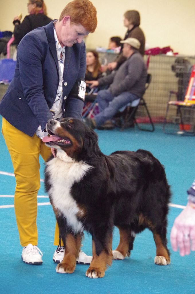 Jewel du roi des lacs - cacs/cacib/Bob