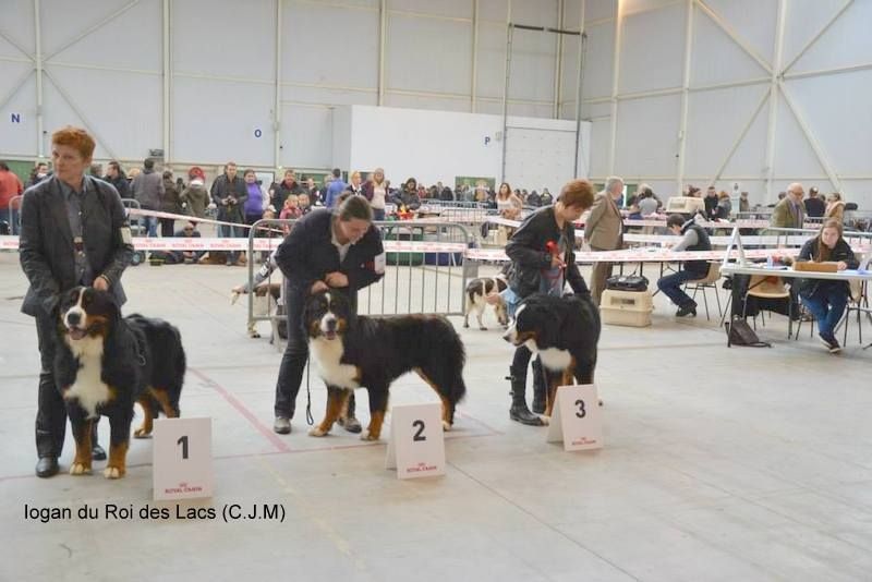 Iogan du roi des lacs - 1 er EXCELLENT MEILLEUR JEUNE