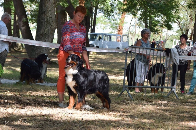 Jewel du roi des lacs - EXCELLLENT