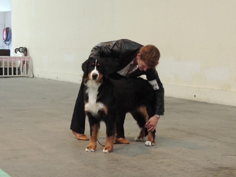 Hungary du roi des lacs - 3ème EXCELLENT