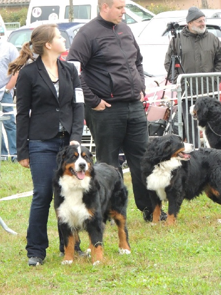 Enns du roi des lacs - EXCELLENT