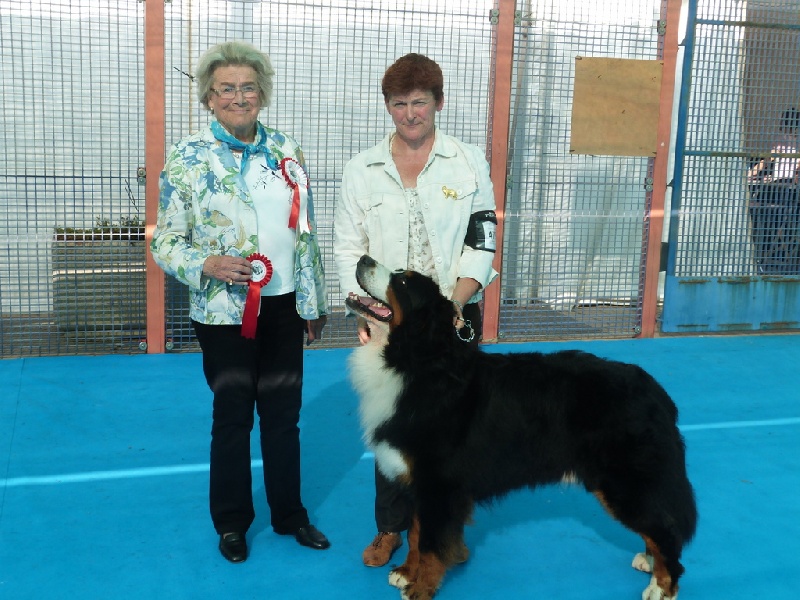 CH. French king of rock'n'roll D'Ainhoa - GCC/CACIB