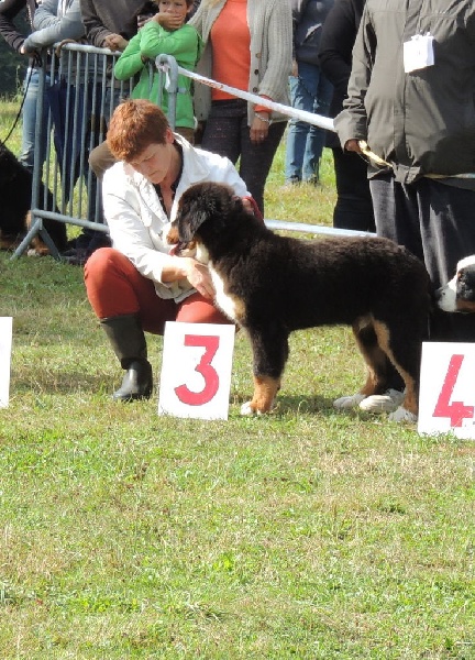 Icefield du roi des lacs - 3ème EXCELLENT