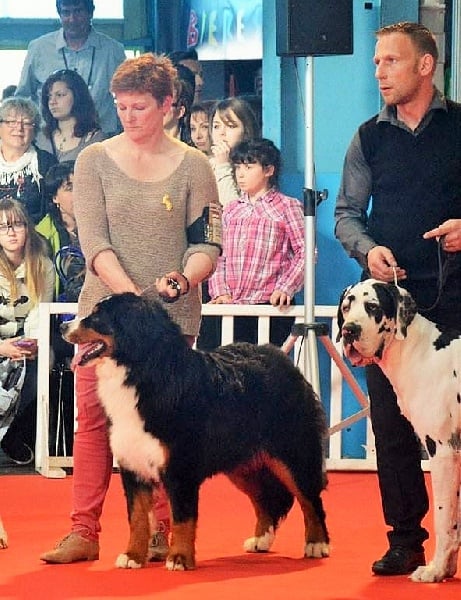 CH. Inda du roi des lacs - 1ère EXCELLENT MEILLEUR JEUNE