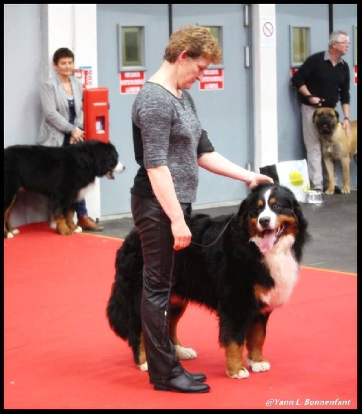Icefield du roi des lacs - 3 ème EXCELLENT
