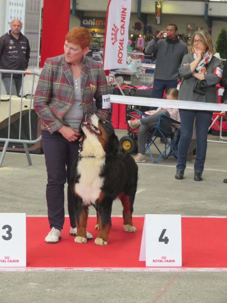 Olympe du roi des lacs - 4ème EXCELLENT