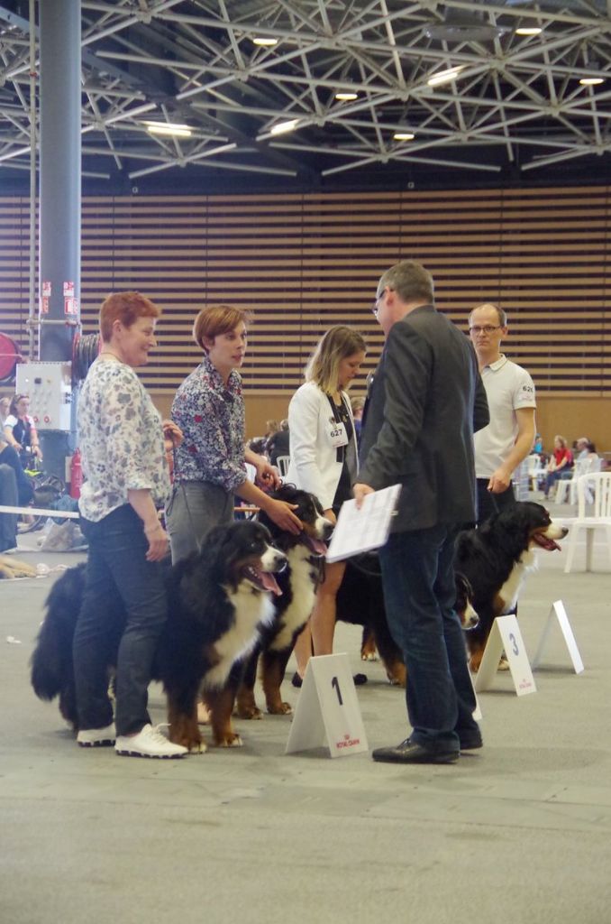 Jewel du roi des lacs - CACS/RCACIB