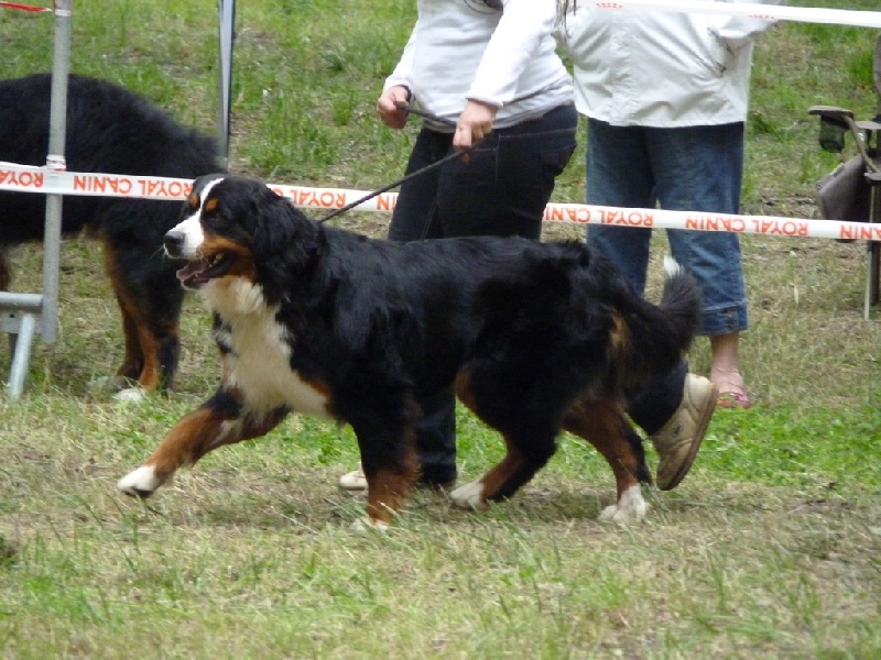 Enns du roi des lacs - 3ème EXCELLENT