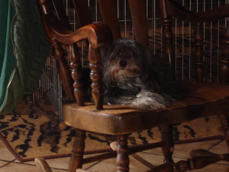 Nuit caline Des fayettes de la vaissaire