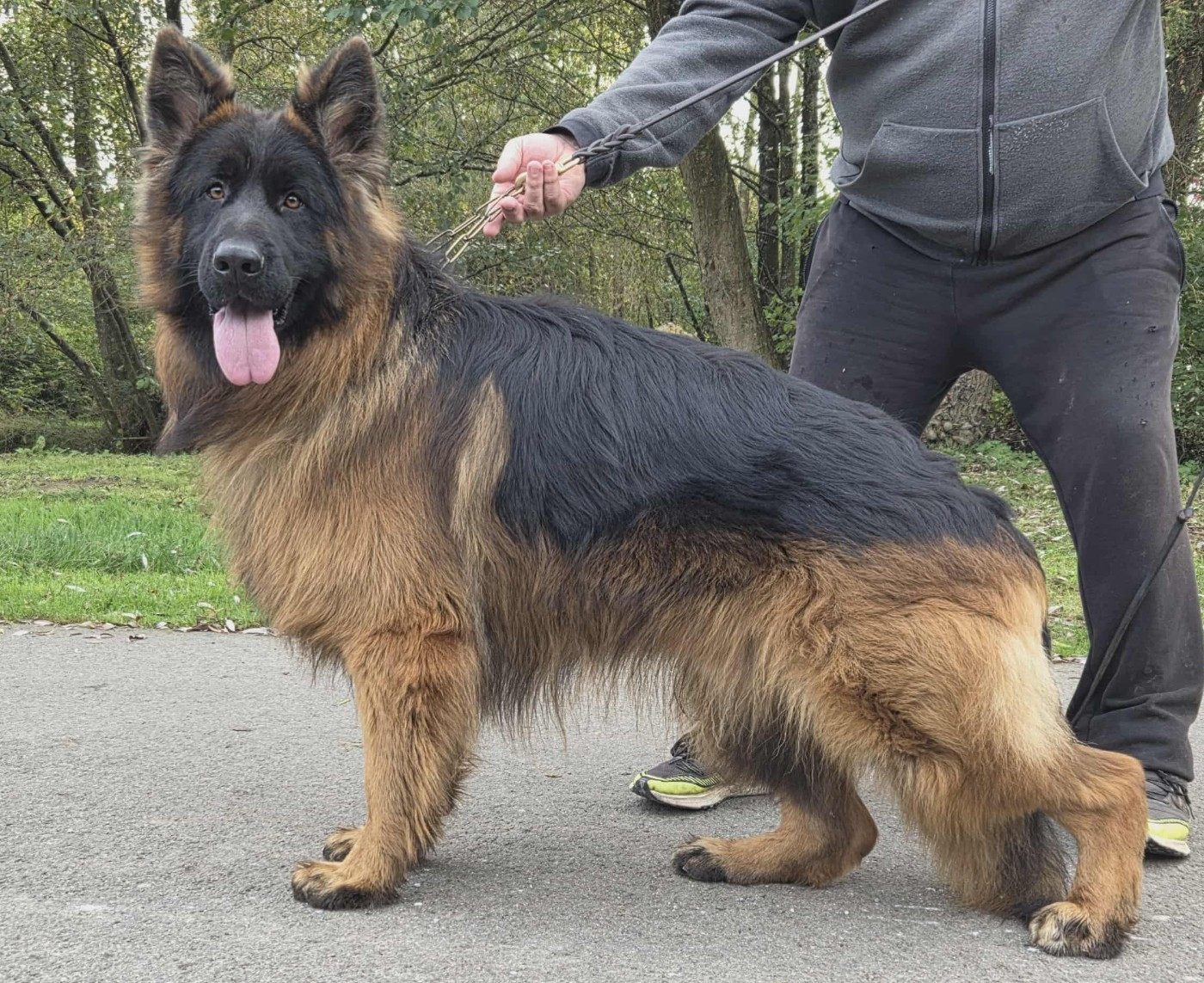 Vauban des cascades de lusy