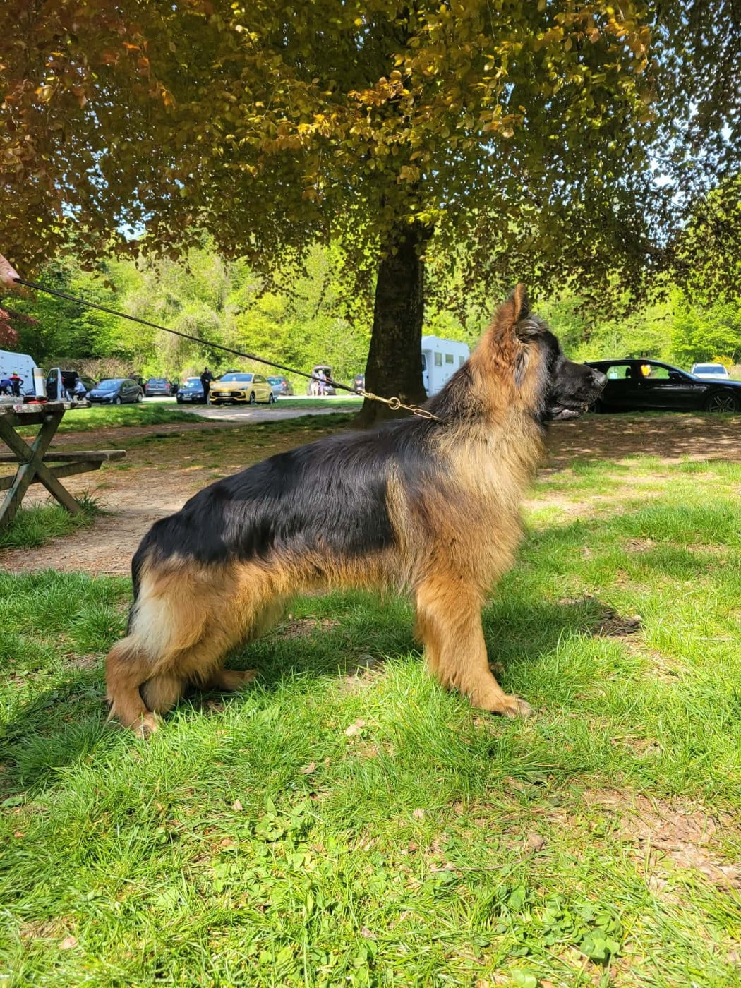 Vauban des cascades de lusy