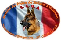 Lien Elevage Des Cascades De Lusy Eleveur De Chiens