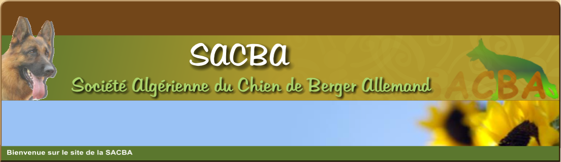 Lien Elevage Des Cascades De Lusy Eleveur De Chiens