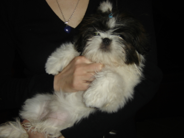 Publication : des Eaux Vives du Ricola Auteur : Florence Chauveau