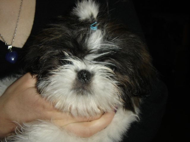 Publication : des Eaux Vives du Ricola Auteur : Florence Chauveau