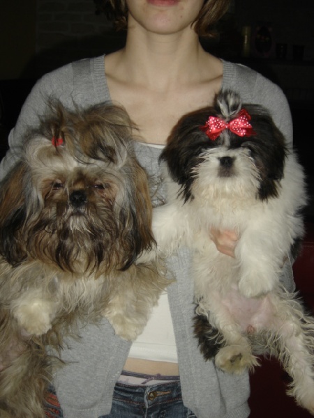 Publication : des Eaux Vives du Ricola Auteur : Florence Chauveau