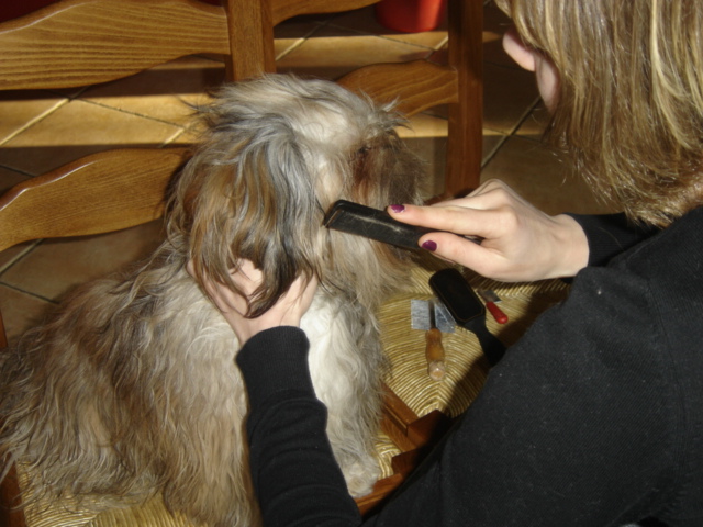 Publication : des Eaux Vives du Ricola Auteur : Florence Chauveau