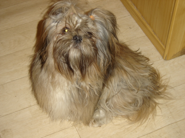 Publication : des Eaux Vives du Ricola Auteur : Florence Chauveau